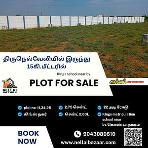 Plot for Sale in kondanagaram (Tirunelveli)
