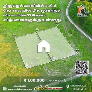 Land for Sale in AYANKULAM TIRUNELVELI